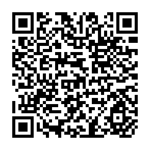 QR Code for Production and Marketing of Greengram North Western Province, Sri Lanka