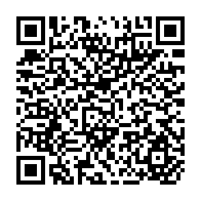 QR Code for The Formation of Food Prices and Their Behaviour in Times in Inflation