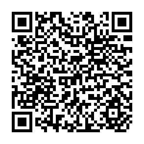 QR Code for Interacting in Groups -Theory and Practics