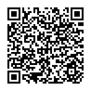 QR Code for The Role of Transmigration in National and Regional Development