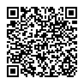 QR Code for Records and Accounts for Farm Management