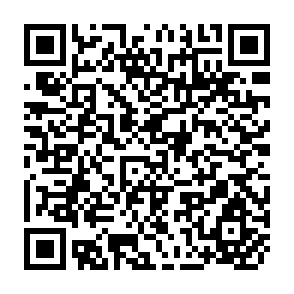 QR Code for Fiction and Poetry for Social Scientists