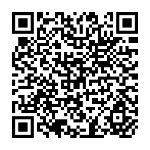 QR Code for Proceedings of workshop on development support for small farmers