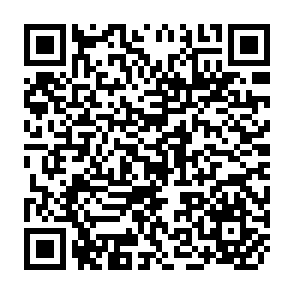 QR Code for A Decade of Process Documentation Research