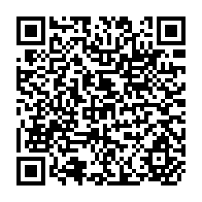 QR Code for World Development Report 1988