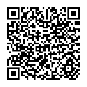 QR Code for World Development Report 1989