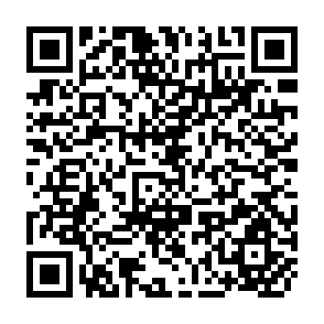 QR Code for Summary Proceedings of a Workshop on Trends and Prospects of Cassava in the Third World