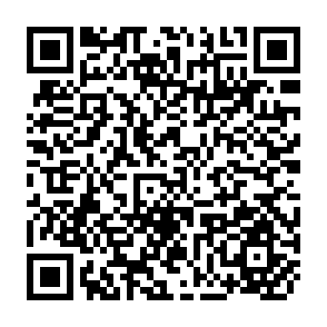 QR Code for The Effects and Cost of Philippine Government Intervention in Rice Markets