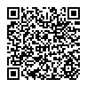 QR Code for The Economics of Irrigation Development