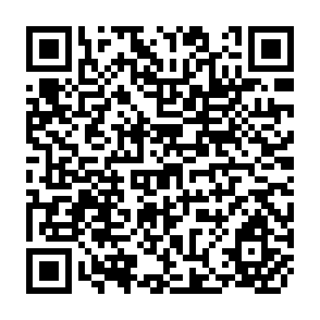 QR Code for Disarmamnet