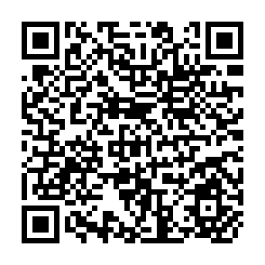 QR Code for Financing Irrigation Services: A Literature Review and Selected Case Studies From Asia
