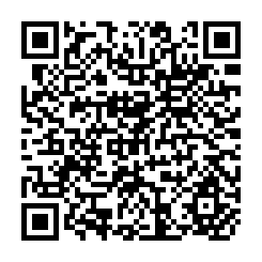 QR Code for External demand Constraints for Agricultural exports