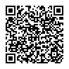QR Code for Report on Research and Development 1988/89