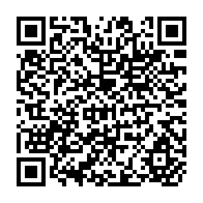QR Code for Rural Migrants in Central Brazil