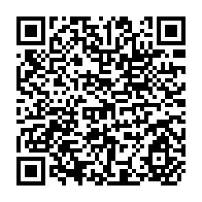 QR Code for Issues Concerning Women's Employment in South Asia: An Overview