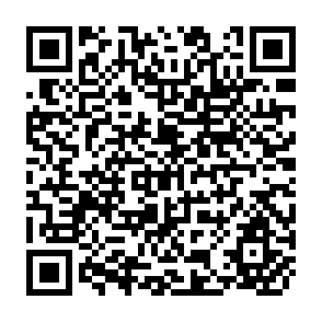 QR Code for Surplus Labor and Economic Development: The Guatemalan Case