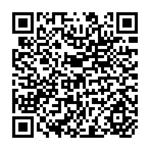QR Code for The Minifundia Economy and Society of the Guatemalan Highland Indian