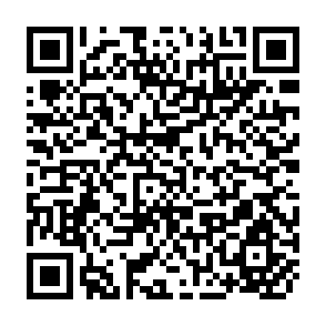 QR Code for Apple IIGS- Technical Reference