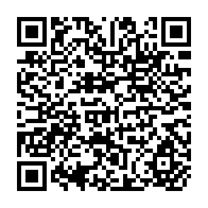 QR Code for New Seeds and Poor People