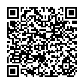 QR Code for Food Demand in Developing Countries and the Transition of World Agriculture