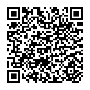 QR Code for The Effects of Sugarcane Production on Food Security, Health, and Nutrition in Kenya: A Longitudinal Analysis