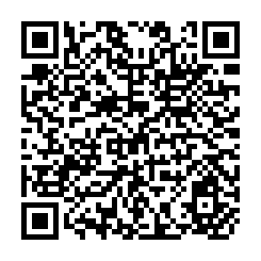 QR Code for Report- Project Steering Committee Meeting