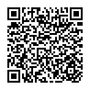 QR Code for Wood Gas as Engine Fuel