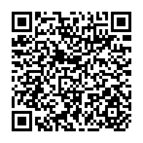 QR Code for Monitoring and Evaluation of Social Forestry in India
