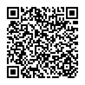 QR Code for Transport of Vegetable in Papua New Guinea