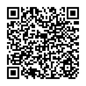 QR Code for Statistics for Food and Agricultural Policy Analysis