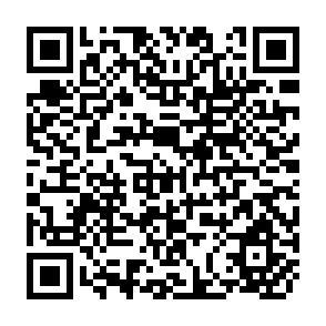 QR Code for Rural Problem Solving Policies in Venezuela, with Special Reference to the Agrarian Issue