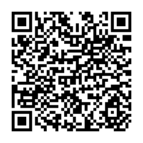 QR Code for The Roal of Migratory Labor in The Economic Development of Guatemala