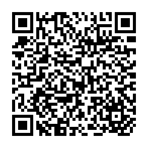 QR Code for Working Paper Series No. 74