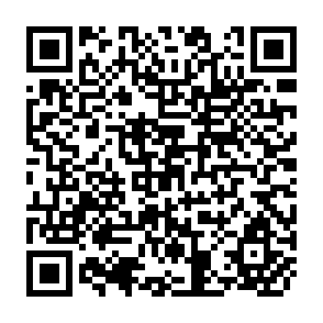 QR Code for Effects of Agricultural Commercilization on land Tenure,Household Resource Allocation and Nutrition in the Philippines