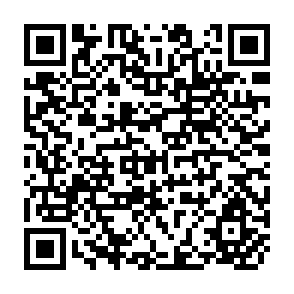 QR Code for An Approach to the Study of the Industrial Surplus : The Case of the United Fruit Company in Central Africa