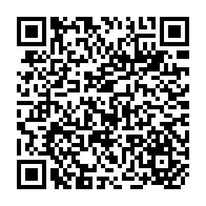 QR Code for Guide to planing and evaluating NGO projects