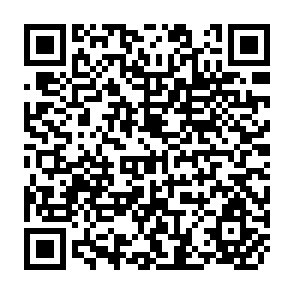 QR Code for The Role of Institutionla Innovations in the Economic Development of Honduras