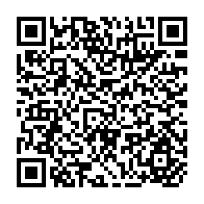 QR Code for State of the Art Series - Integrated Rural Development - India