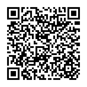 QR Code for State of the Art Series - Integrated Rural Development - Pakistan