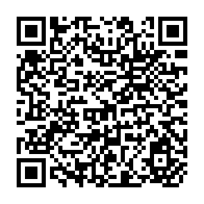 QR Code for The Philippine Agrarian Reform Program:Issues, Problems and Prospects
