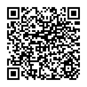 QR Code for The Stagnant Society