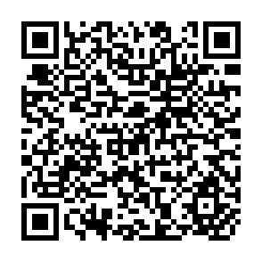 QR Code for The Use of Literacy