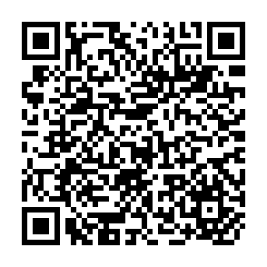 QR Code for The nature of politics