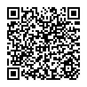 QR Code for Land Reform:The italian Experience