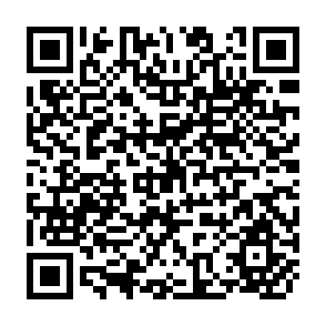 QR Code for Small Farmer Credit Summary Papers