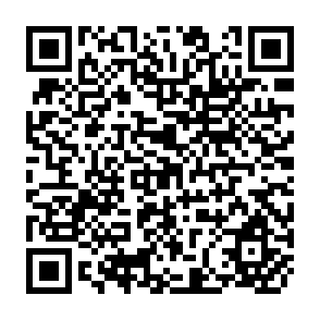 QR Code for Income And Employment Generating Activities of NGDOs: An Overview