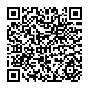 QR Code for Peasants in Complex Society