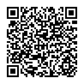 QR Code for Transfer of  Government (NDC) Lands to MNC WORKERS cooperatives : An Assessment of Four  Cases