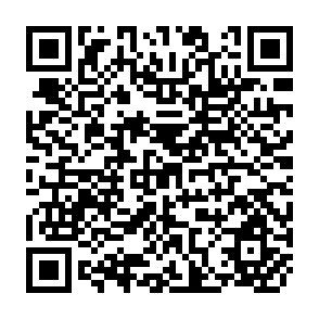 QR Code for The Development of the Monist View of History