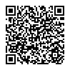 QR Code for What is Dialectical Materialism?
